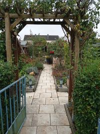 Garten_12_2